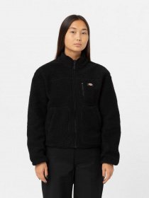 Худі та світшоти Dickies MOUNT HOPE FLEECE модель DK0A4YGNBLK1 Фото
