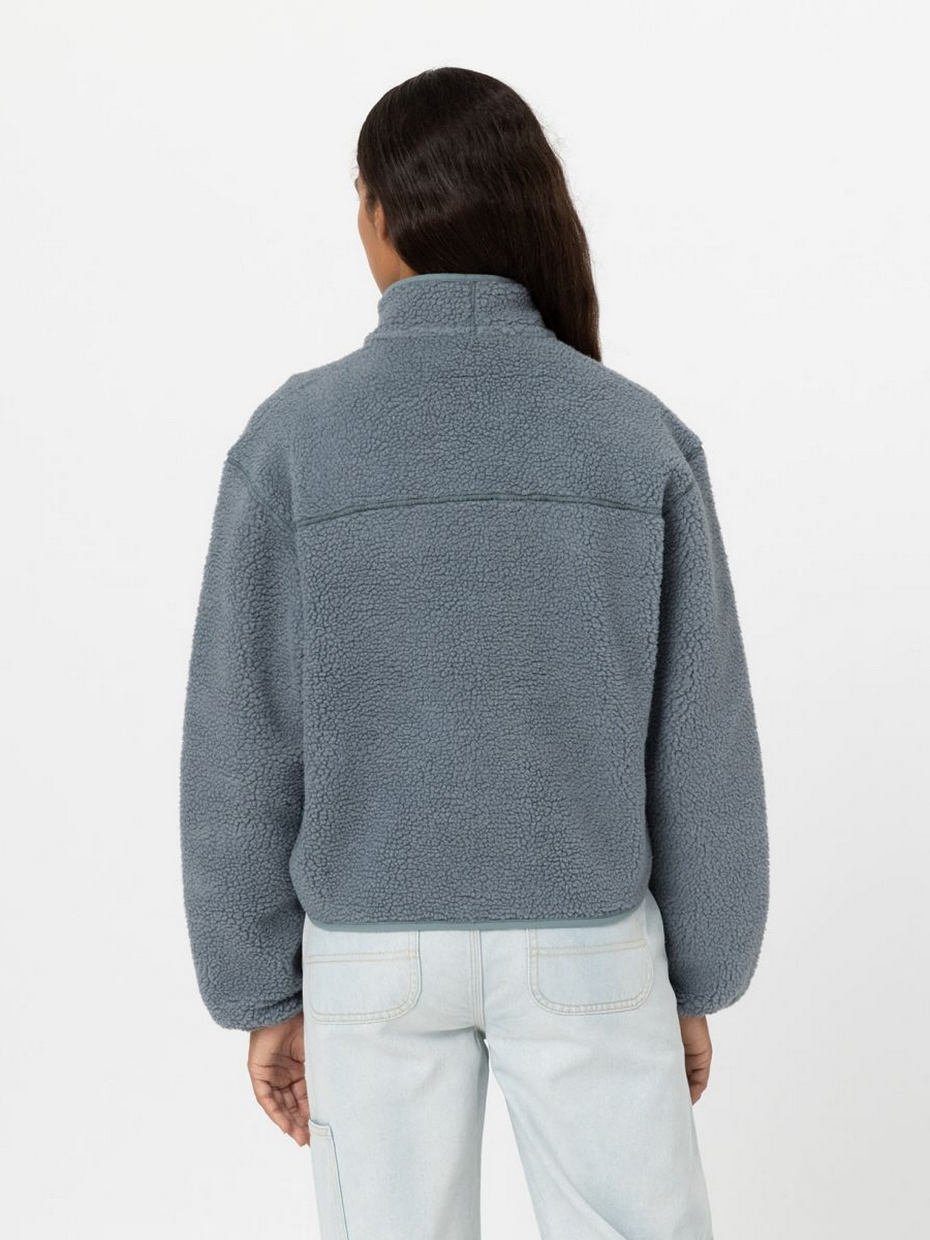 Худі та світшоти Dickies MOUNT HOPE FLEECE модель DK0A4YGNG071 Фото