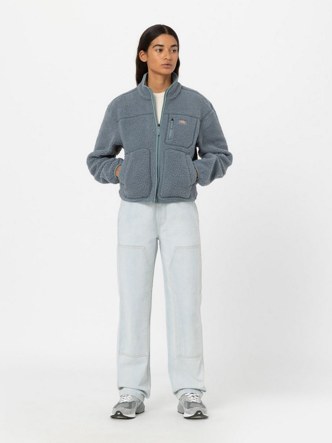 Худі та світшоти Dickies MOUNT HOPE FLEECE модель DK0A4YGNG071 Фото