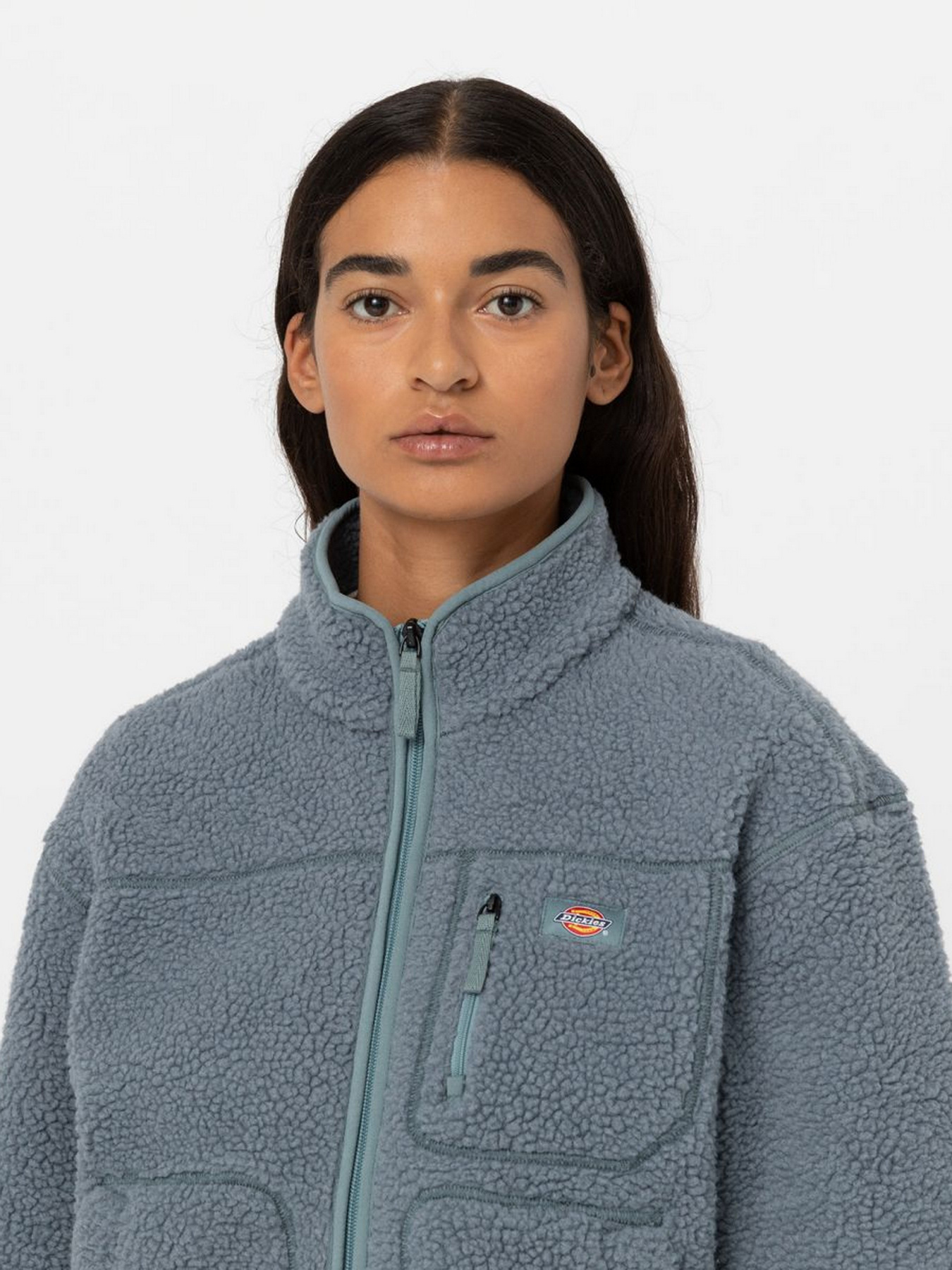 Худі та світшоти Dickies MOUNT HOPE FLEECE модель DK0A4YGNG071 Фото