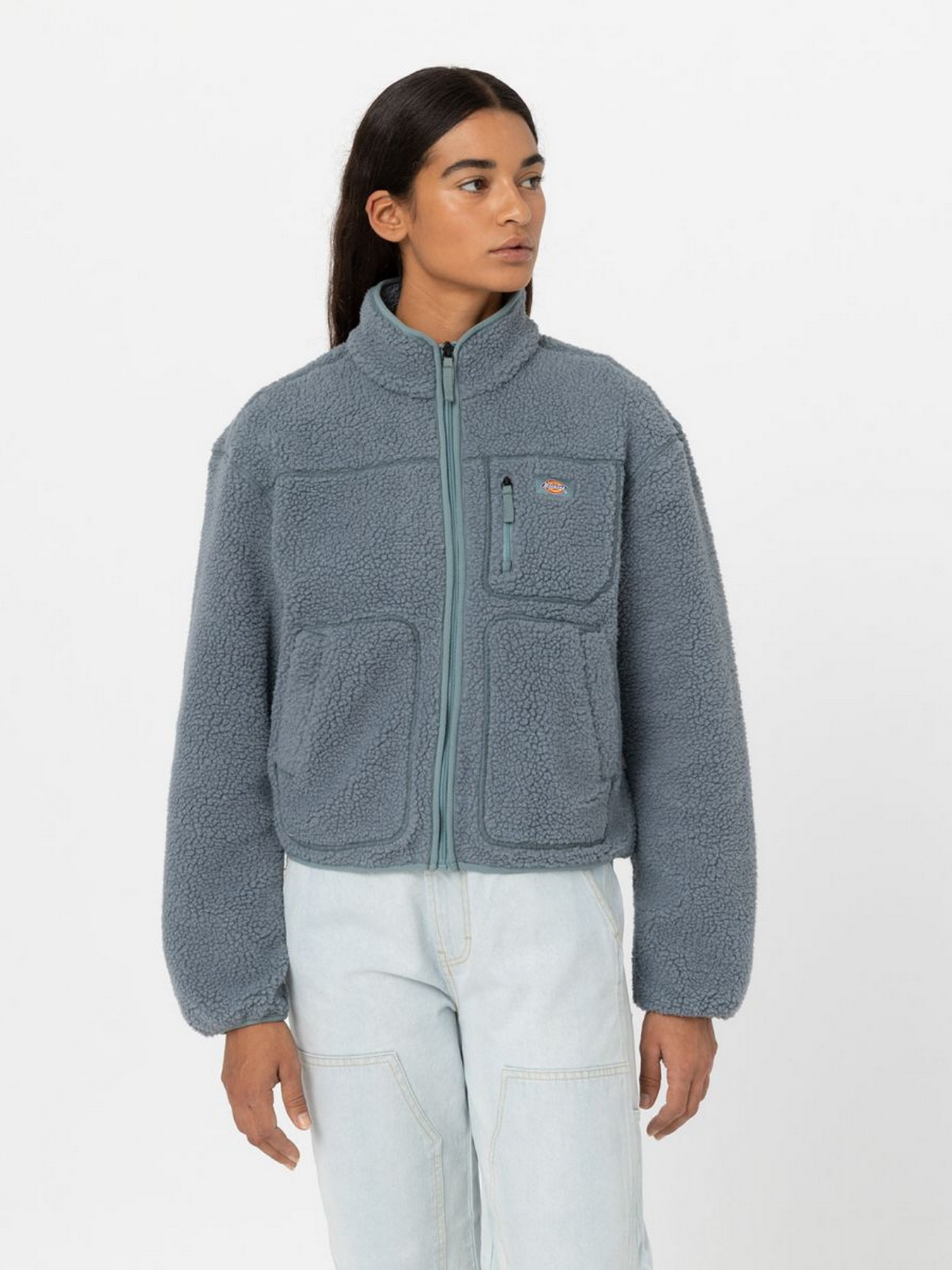 Худі та світшоти Dickies MOUNT HOPE FLEECE модель DK0A4YGNG071 Фото