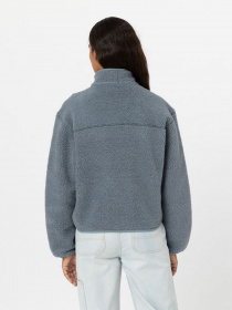 Худі та світшоти Dickies MOUNT HOPE FLEECE модель DK0A4YGNG071 Фото