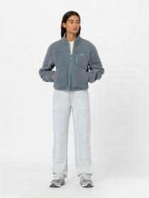 Худі та світшоти Dickies MOUNT HOPE FLEECE модель DK0A4YGNG071 Фото