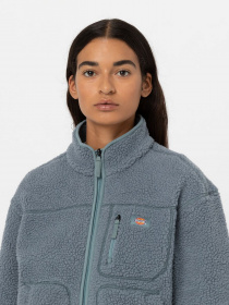 Худі та світшоти Dickies MOUNT HOPE FLEECE модель DK0A4YGNG071 Фото