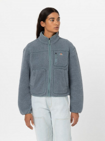 Худі та світшоти Dickies MOUNT HOPE FLEECE модель DK0A4YGNG071 Фото