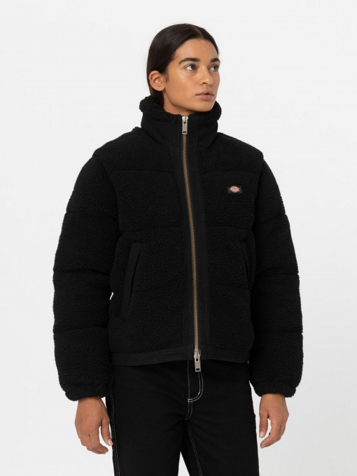 Куртки и дубленки Dickies Mount Hope модель DK0A4YGYBLK1 Фото