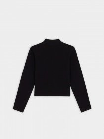 Свитры и кардиганы Dickies Rysville модель DK0A4YHCBLK1 Фото