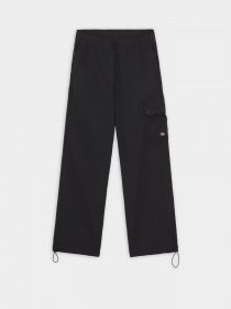 Штани Dickies Jackson модель DK0A4YJCBLK1 Фото