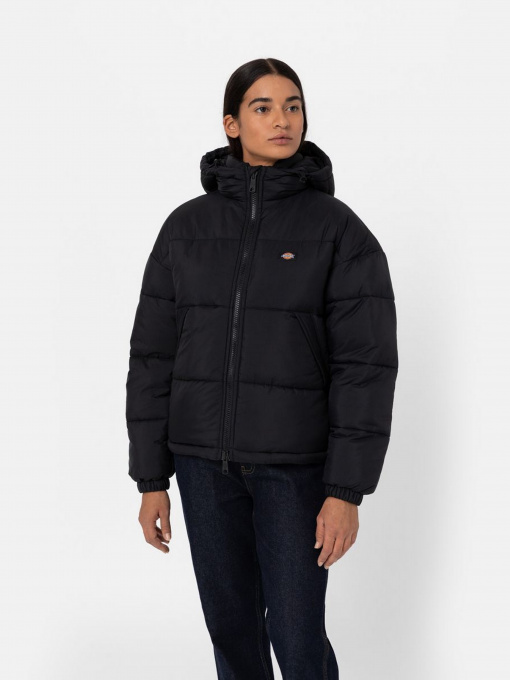 Куртки и дубленки Dickies ALATNA OVERSIZED модель DK0A4YJUBLK1 Фото