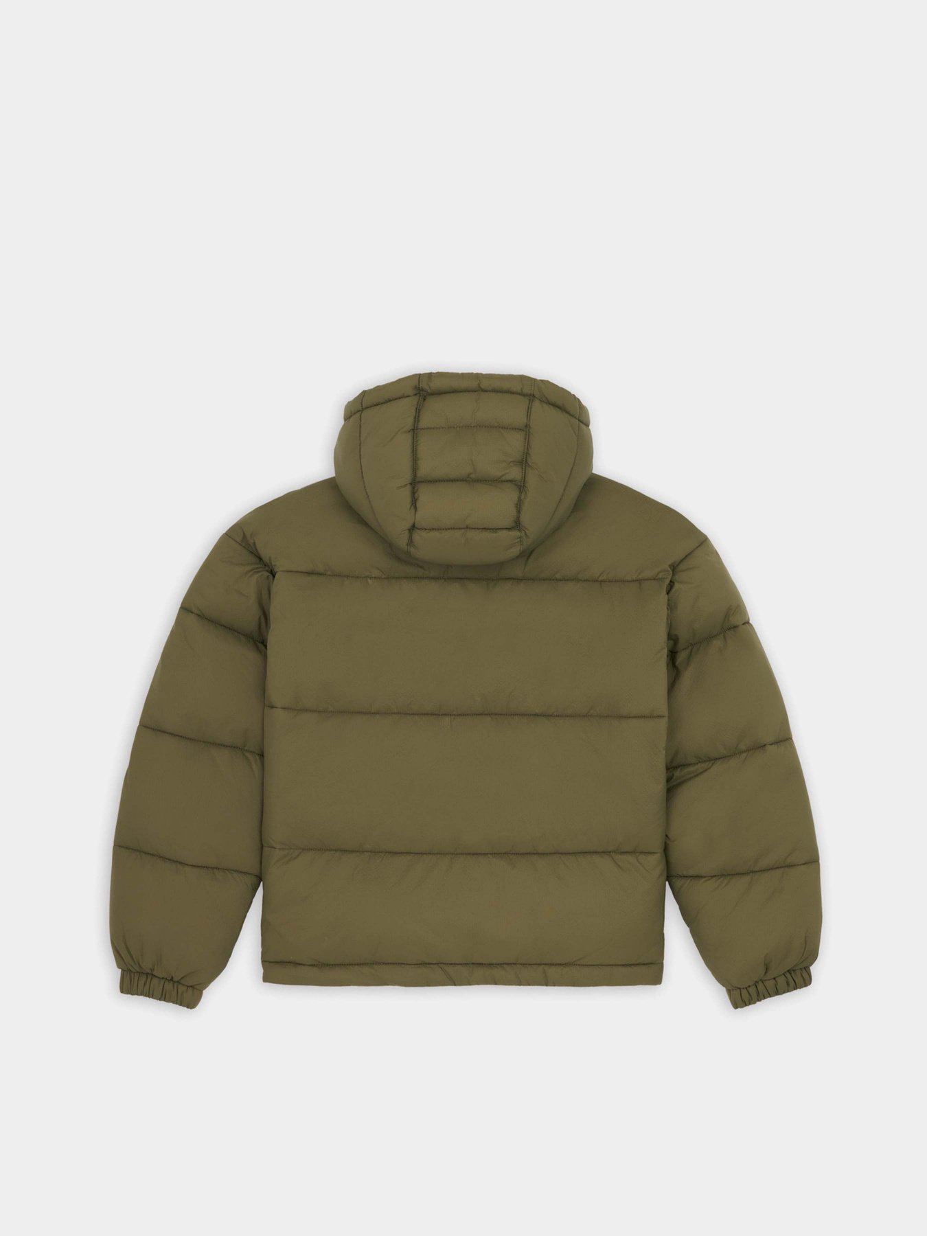 Куртки та дублянки Dickies ALATNA OVERSIZED модель DK0A4YJUMGR1 Фото