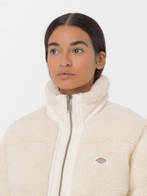 Куртки та дублянки Dickies Mount Hope Puffer модель DK0A4YGYF901 Фото