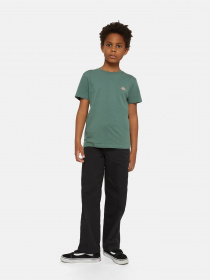 Штани Dickies Original 874 Work модель DK0QP874DCK1 Фото