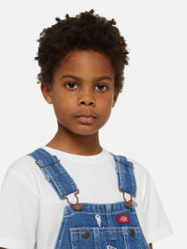 Комбинезоны Dickies Denim Bib Overalls модель DK0KB102C7K1 Фото