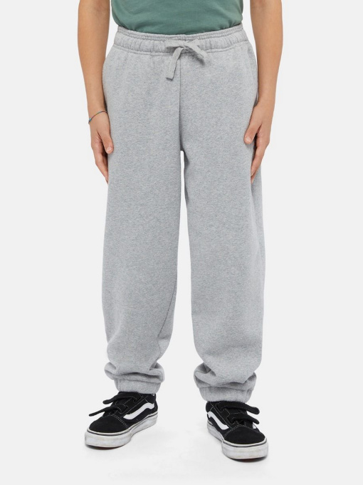 Брюки Dickies Mapleton модель DK0KPE040H21 Фото