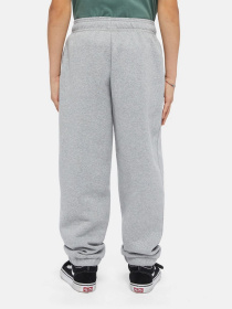 Брюки Dickies Mapleton модель DK0KPE040H21 Фото