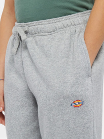 Брюки Dickies Mapleton модель DK0KPE040H21 Фото
