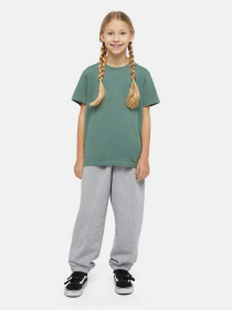 Брюки Dickies Mapleton модель DK0KPE040H21 Фото