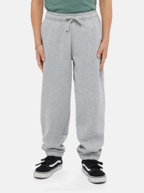 Брюки Dickies Mapleton модель DK0KPE040H21 Фото