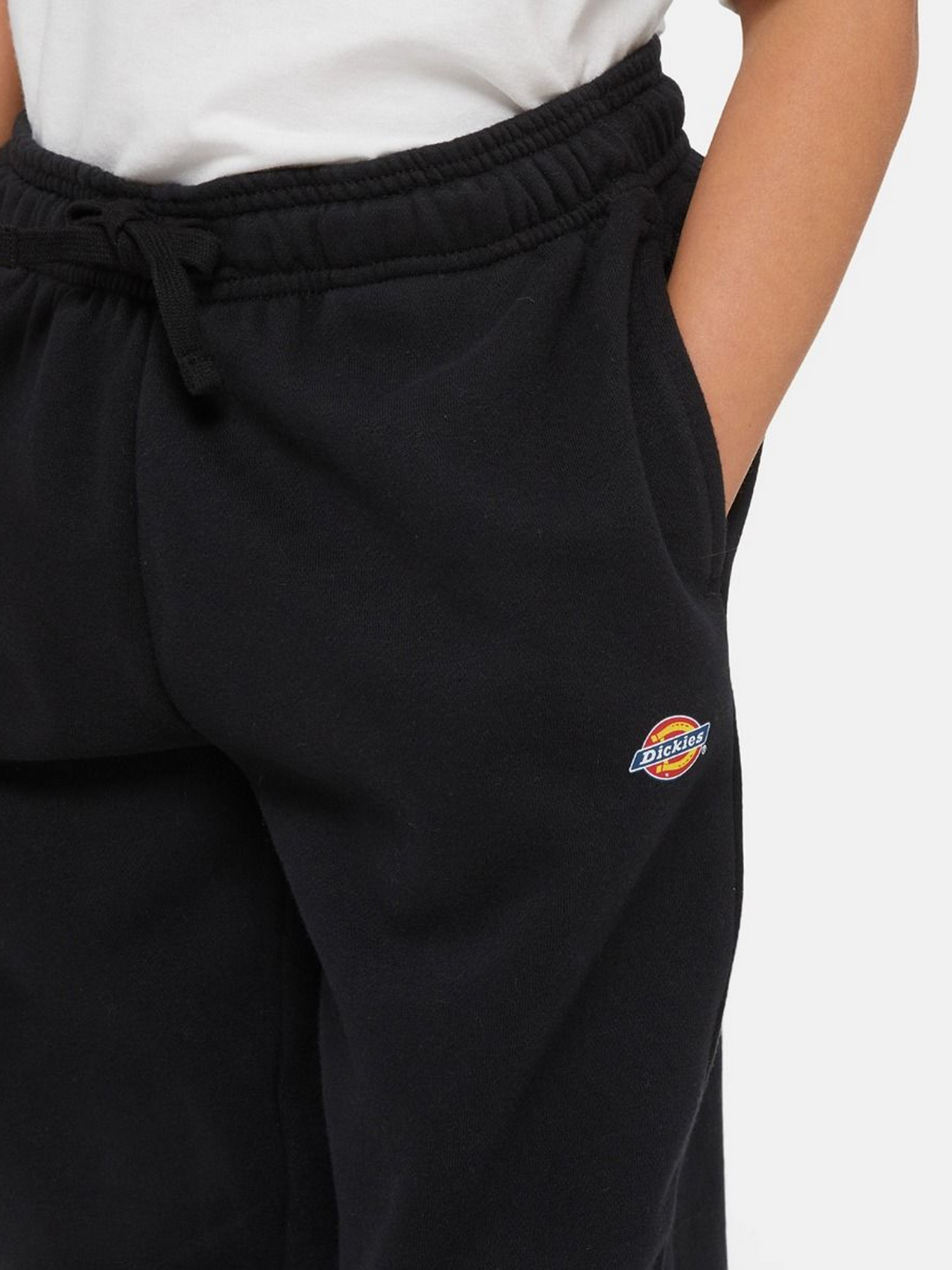Брюки Dickies Mapleton модель DK0KPE04KBK1 Брюки Dickies Mapleton модель DK0KPE04KBK1 Фото