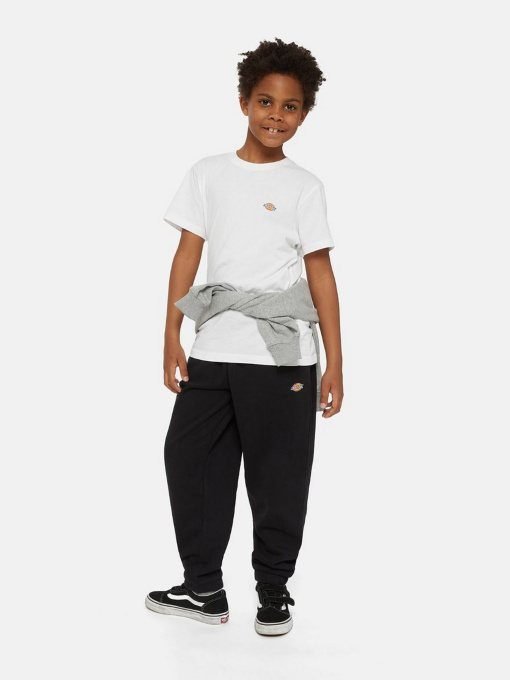 Брюки Dickies Mapleton модель DK0KPE04KBK1 Фото