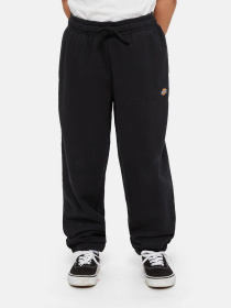 Брюки Dickies Mapleton модель DK0KPE04KBK1 Фото