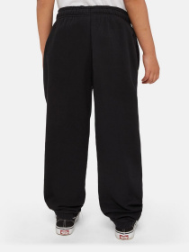 Брюки Dickies Mapleton модель DK0KPE04KBK1 Фото