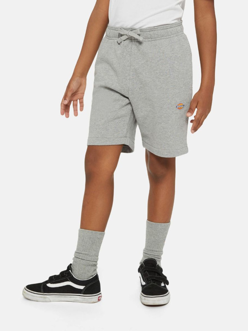 Шорты Dickies Mapleton модель DK0KRR330H21 Фото
