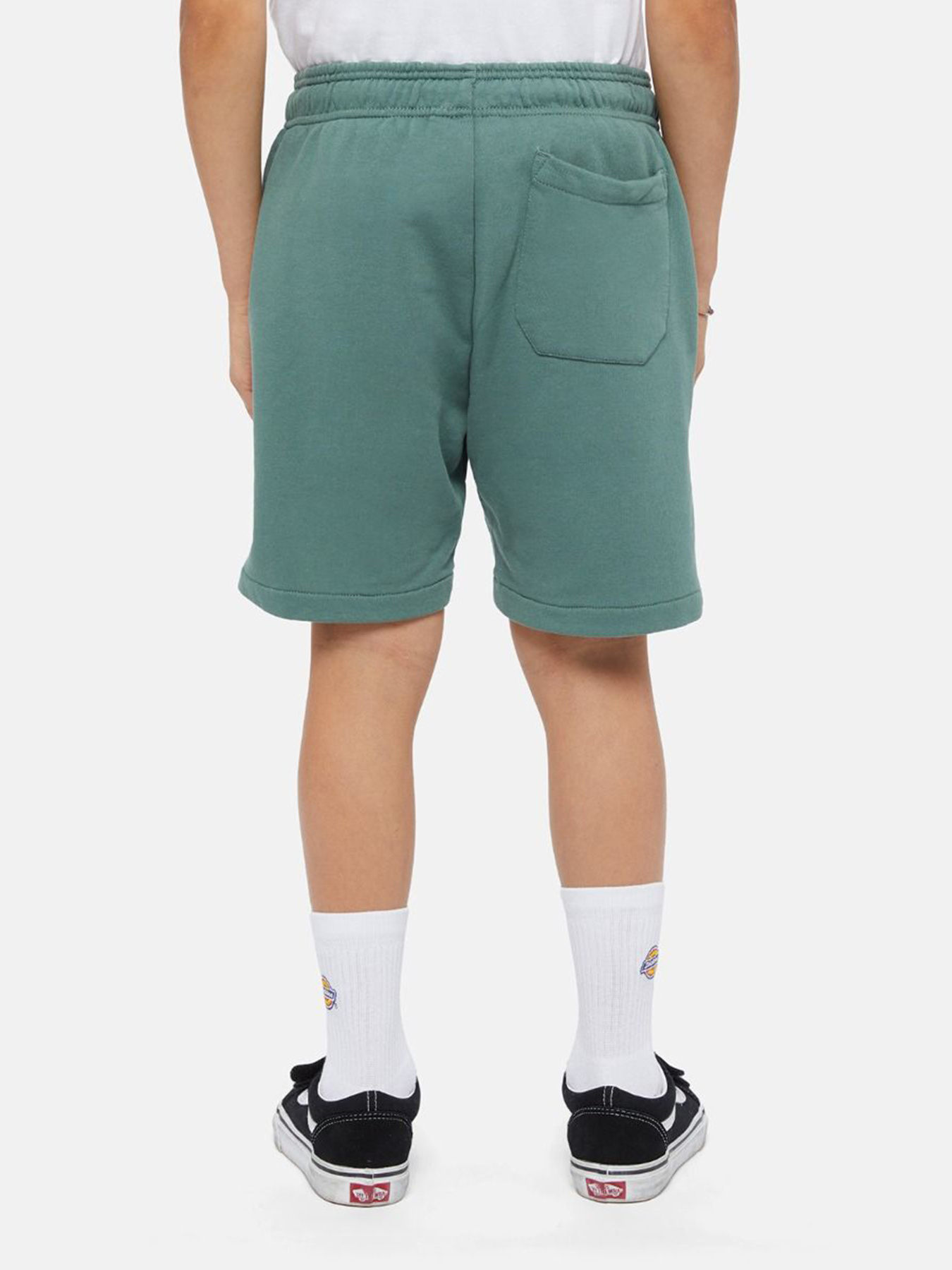 Шорты Dickies Mapleton модель DK0KRR33H151 Фото
