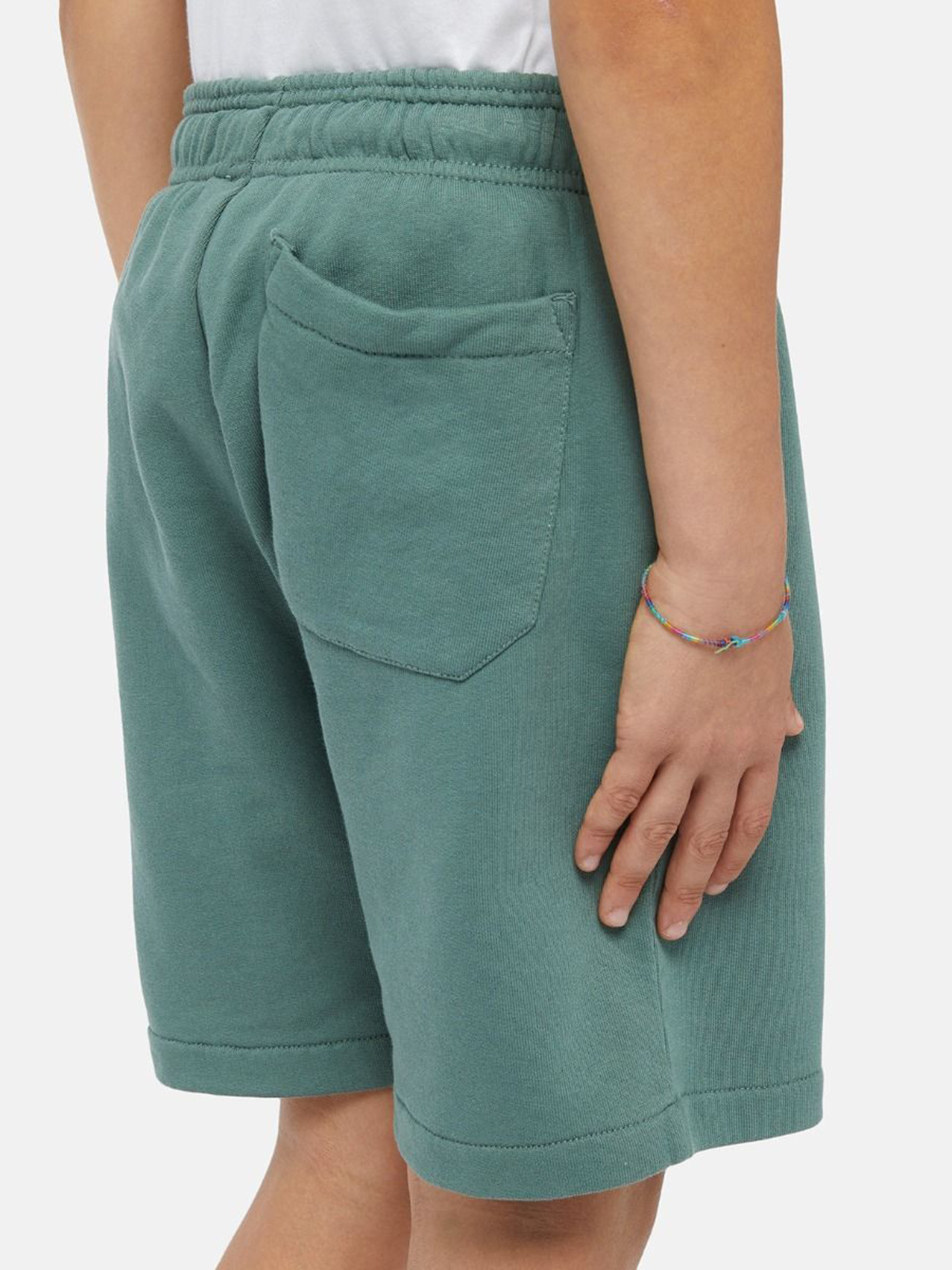 Шорты Dickies Mapleton модель DK0KRR33H151 Фото