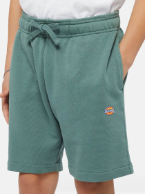 Шорты Dickies Mapleton модель DK0KRR33H151 Фото