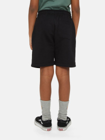 Шорти Dickies Mapleton модель DK0KRR33KBK1 Фото