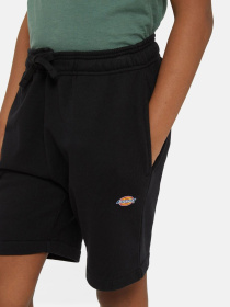 Шорти Dickies Mapleton модель DK0KRR33KBK1 Фото