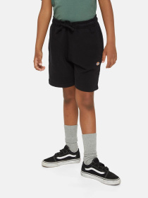 Шорти Dickies Mapleton модель DK0KRR33KBK1 Фото