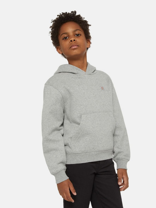 Худи и свитшоты Dickies Oakport модель DK0KWR120H21 Фото