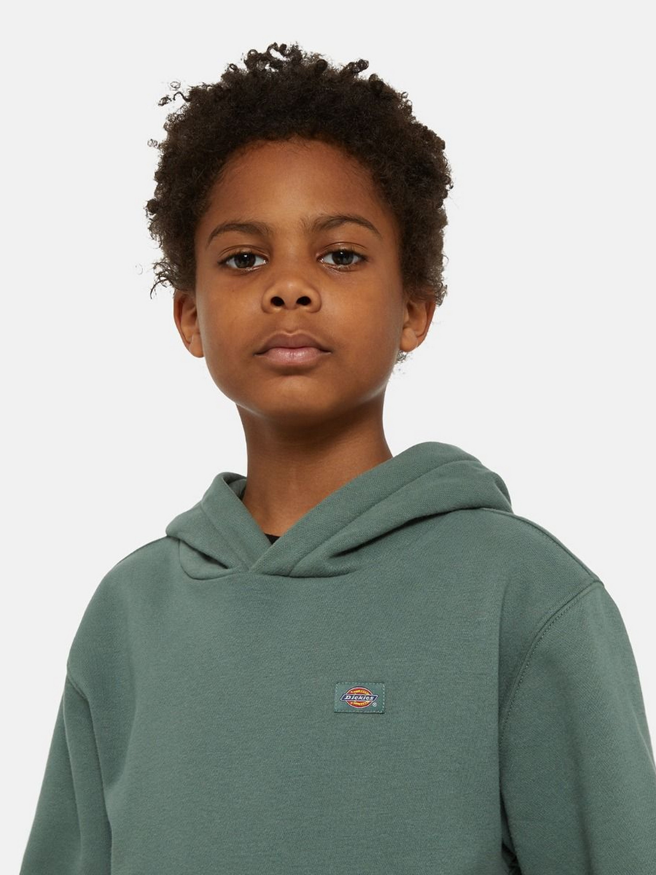 Худі та світшоти Dickies Oakport модель DK0KWR12H151 Худі та світшоти Dickies Oakport модель DK0KWR12H151 Фото