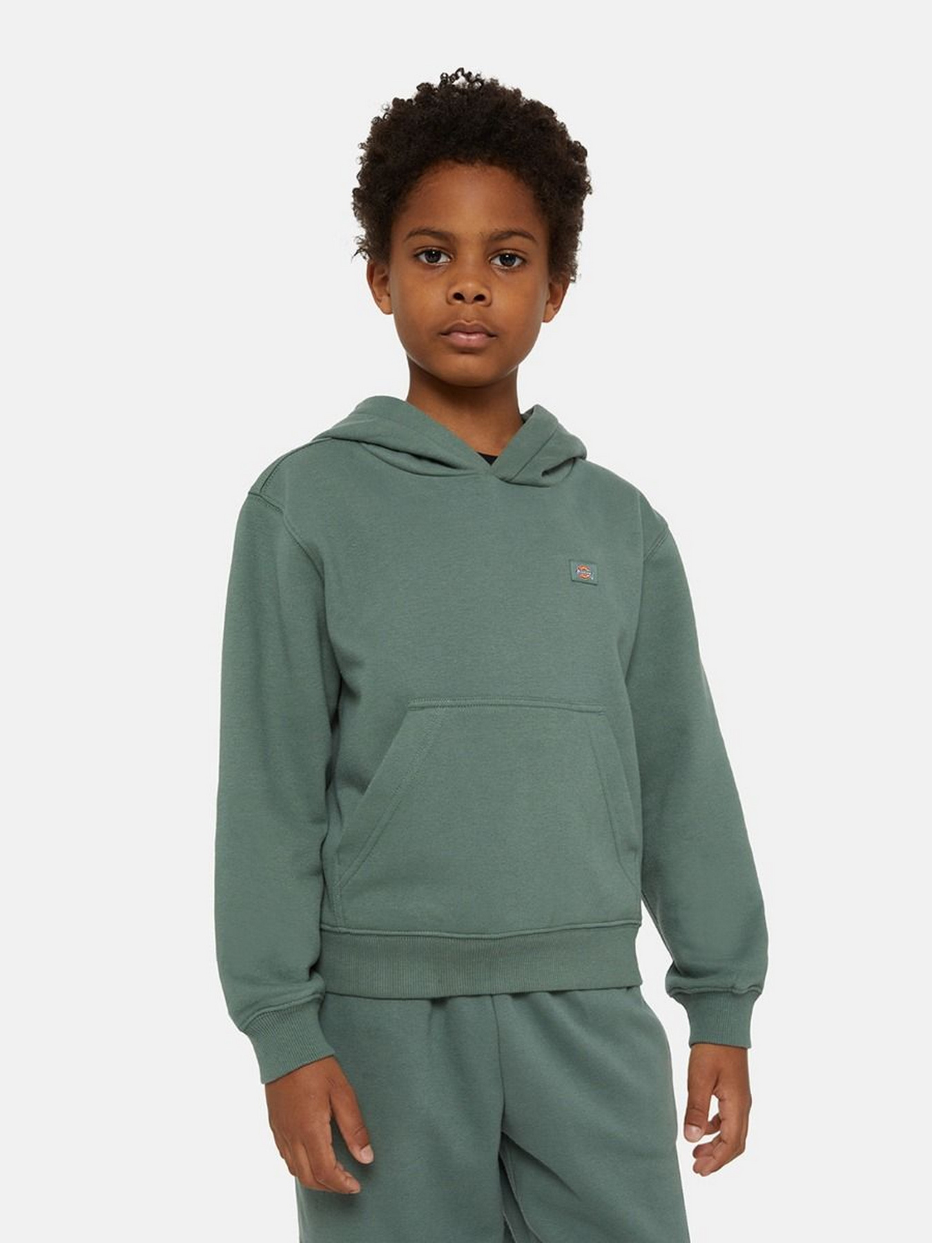 Худі та світшоти Dickies Oakport модель DK0KWR12H151 Худі та світшоти Dickies Oakport модель DK0KWR12H151 Фото