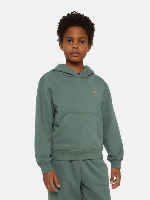 Худи и свитшоты Dickies Oakport модель DK0KWR12H151 Фото