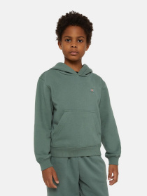 Худи и свитшоты Dickies Oakport модель DK0KWR12H151 Фото