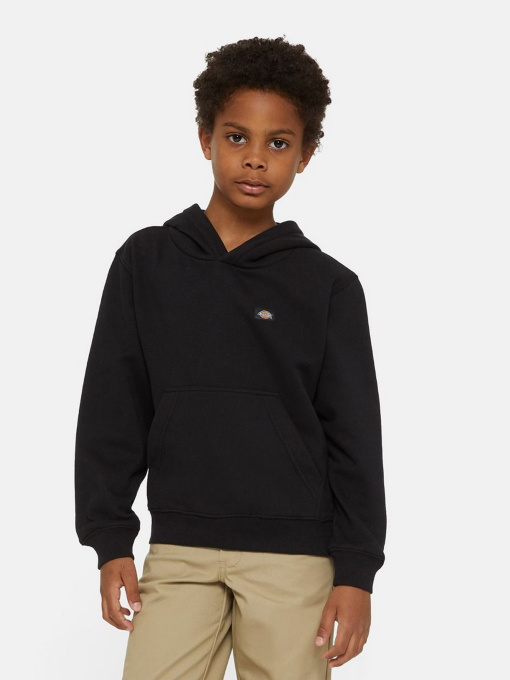 Худи и свитшоты Dickies Oakport модель DK0KWR12KBK1 Фото