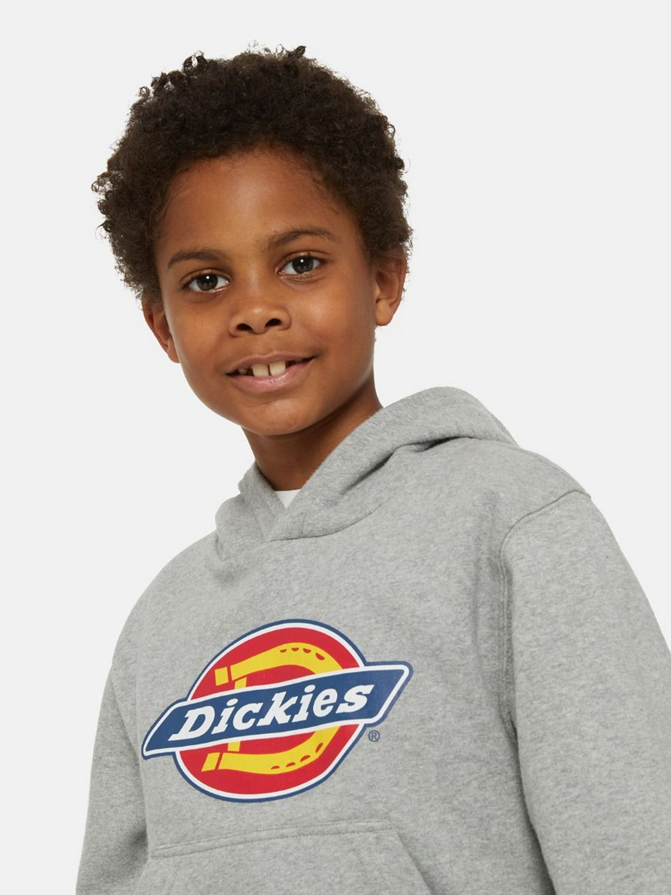 Худі та світшоти Dickies Icon Logo модель DK0KWR270H21 Фото