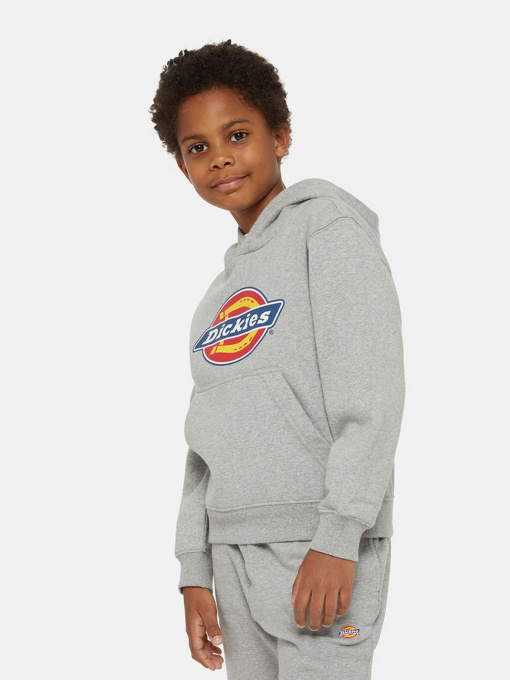 Худи и свитшоты Dickies Icon Logo модель DK0KWR270H21 Фото
