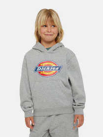 Худі та світшоти Dickies Icon Logo модель DK0KWR270H21 Фото
