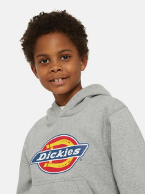 Худі та світшоти Dickies Icon Logo модель DK0KWR270H21 Фото