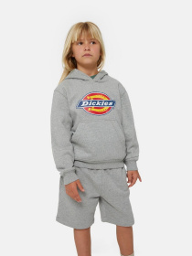 Худі та світшоти Dickies Icon Logo модель DK0KWR270H21 Фото