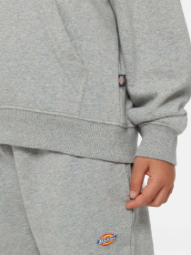 Худі та світшоти Dickies Icon Logo модель DK0KWR270H21 Фото