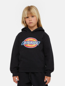 Худі та світшоти Dickies Icon Logo модель DK0KWR27KBK1 Фото