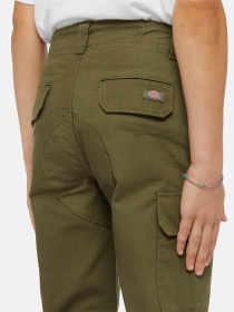 Штани Dickies Millerville модель DK0A4Z3SMGR1 Фото