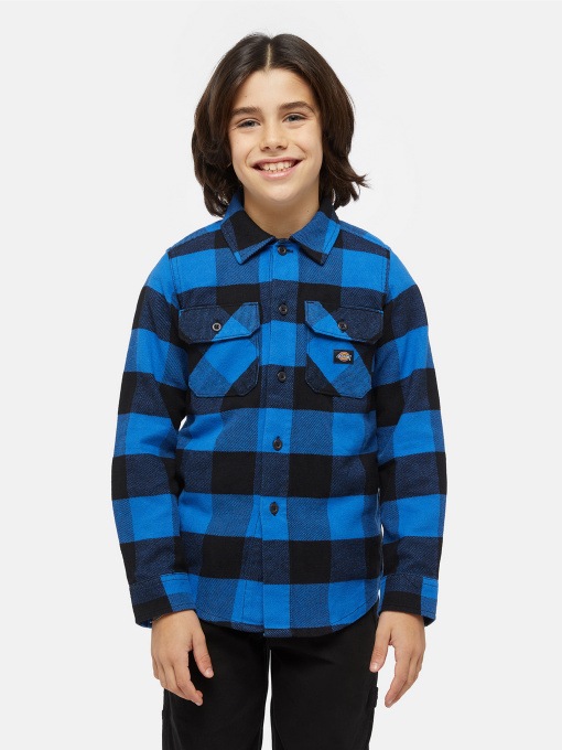 Рубашки Dickies Kids Sacramento модель DK0A4Z3UJ531 Фото