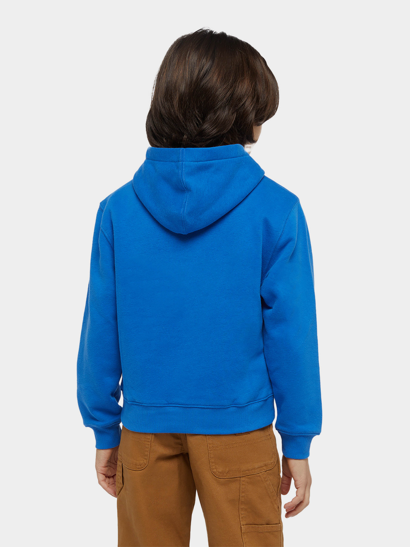 Худі та світшоти Dickies Youth Oakport модель DK0KWR12J531 Худі та світшоти Dickies Youth Oakport модель DK0KWR12J531 Фото