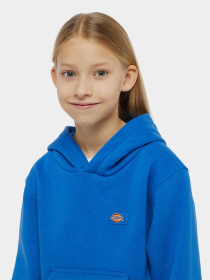 Худі та світшоти Dickies Youth Oakport модель DK0KWR12J531 Фото